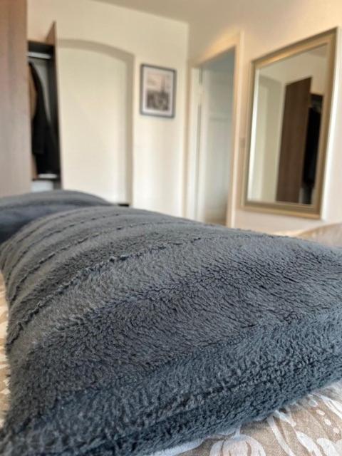 Cosy Rent Strasbourg Orangerie Tv Wifi Cathedrale Appartement Buitenkant foto