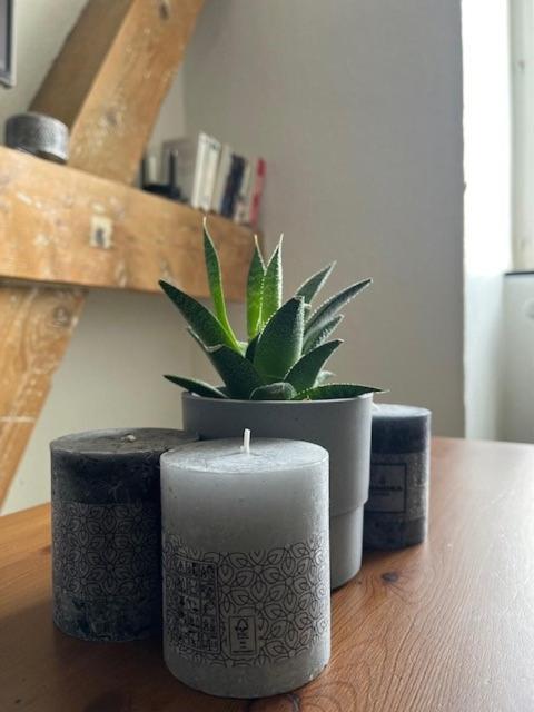 Cosy Rent Strasbourg Orangerie Tv Wifi Cathedrale Appartement Buitenkant foto